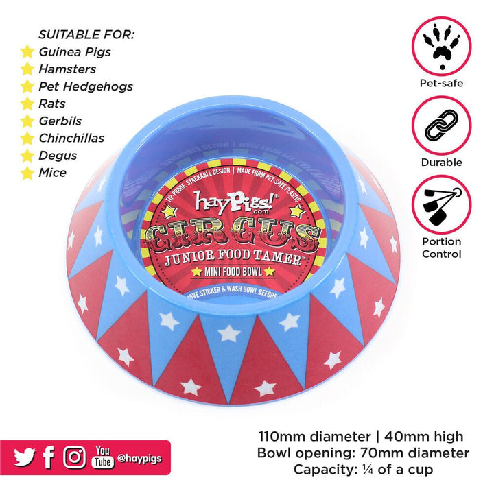 HayPigs! Junior Food Tamer Mini Food Bowl - Just For Pets Australia