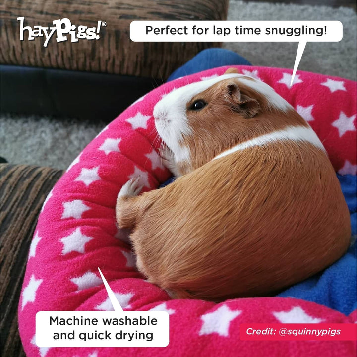 HayPigs! Piggy Crash Mat Fleece Bed - Just For Pets Australia