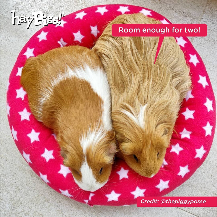 HayPigs! Piggy Crash Mat Fleece Bed - Just For Pets Australia