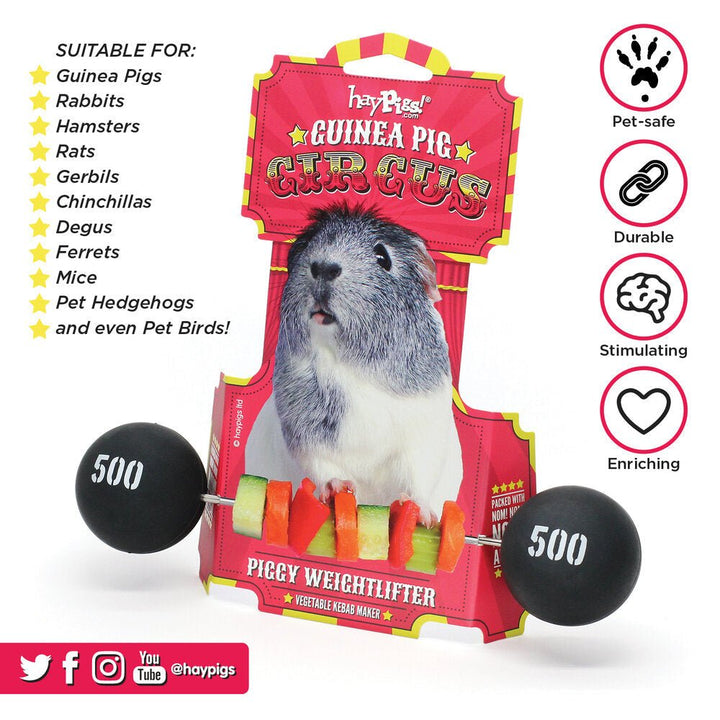 HayPigs! Piggy Weightlifter Vegetable Kebab Maker - Just For Pets Australia