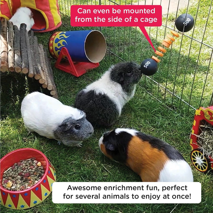 HayPigs! Piggy Weightlifter Vegetable Kebab Maker - Just For Pets Australia