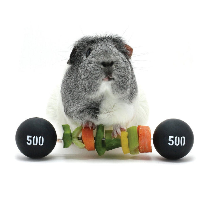 HayPigs! Piggy Weightlifter Vegetable Kebab Maker - Just For Pets Australia