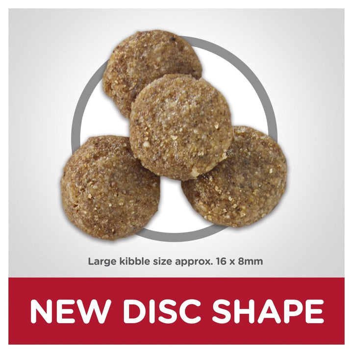 Hill's Science Diet Adult 6+ Large Breed Senior Dry Dog Food 12kg - Just For Pets Australia