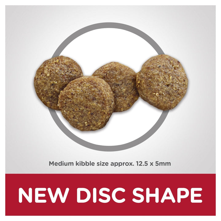 Hill's Science Diet Adult 7+ Senior Dry Dog Food - Just For Pets Australia