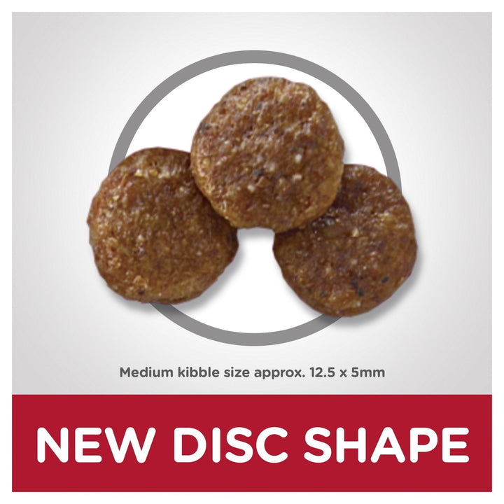 Hill's Science Diet Adult Dry Dog Food - Just For Pets Australia