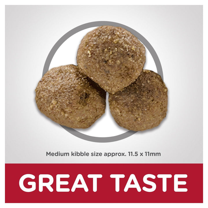 Hill's Science Diet Adult Lamb Meal & Brown Rice Recipe Dry Dog Food 14.97kg - Just For Pets Australia