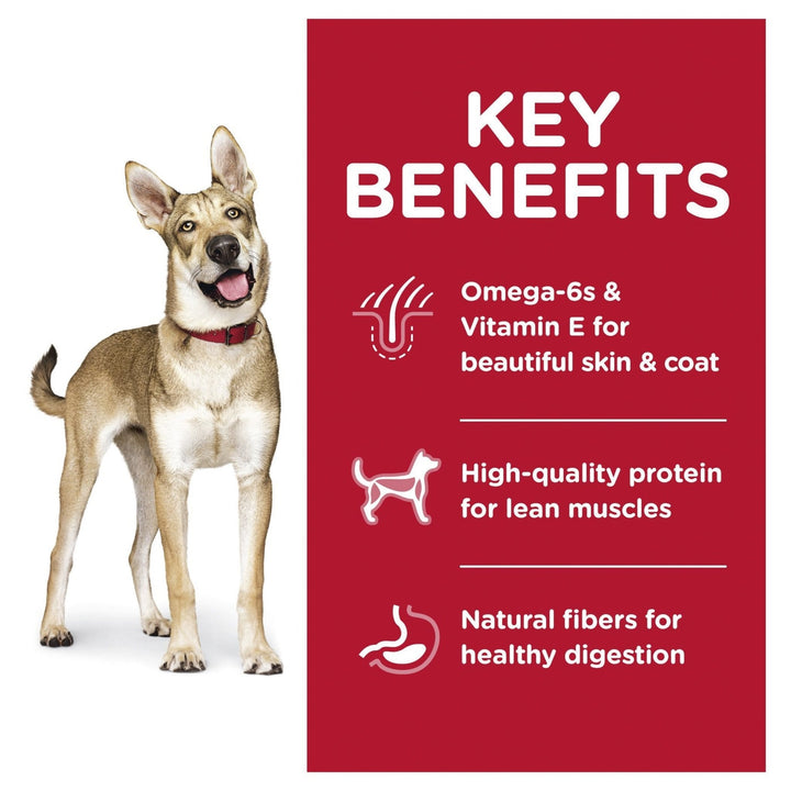 Hill's Science Diet Adult Lamb Meal & Brown Rice Recipe Dry Dog Food 14.97kg - Just For Pets Australia