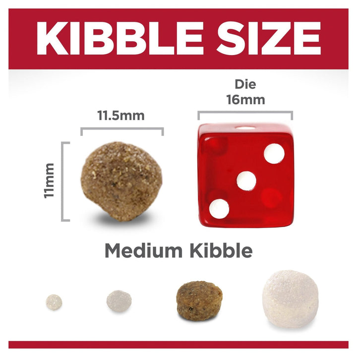 Hill's Science Diet Adult Lamb Meal & Brown Rice Recipe Dry Dog Food 14.97kg - Just For Pets Australia