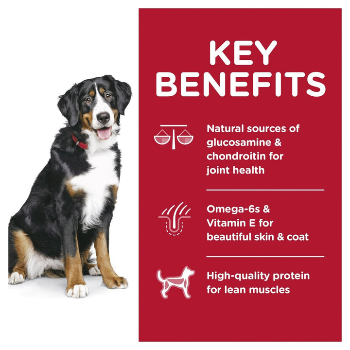 Hill's Science Diet Adult Large Breed Lamb Meal & Brown Rice Recipe Dry Dog Food 14.97kg - Just For Pets Australia