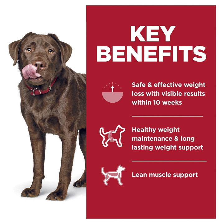 Hill's Science Diet Adult Perfect Weight Large Breed Dry Dog Food 12.9kg - Just For Pets Australia