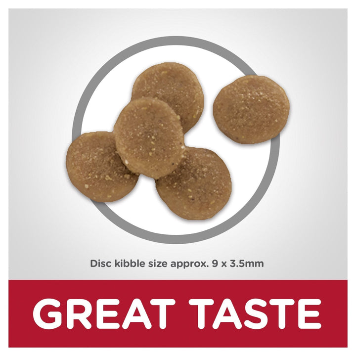 Hill's Science Diet Adult Sensitive Stomach & Skin Dry Cat Food - Just For Pets Australia