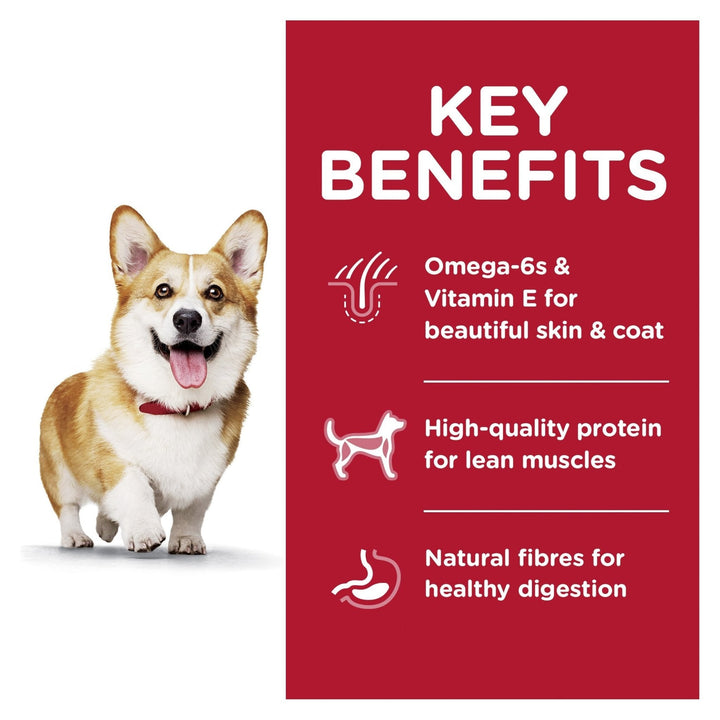 Hill's Science Diet Adult Small Bites Lamb Meal & Brown Rice Recipe Dry Dog Food 7.03kg - Just For Pets Australia