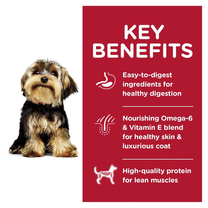 Hill's Science Diet Adult Small Paws Lamb Meal & Brown Rice Recipe Dry Dog Food 2.04kg - Just For Pets Australia