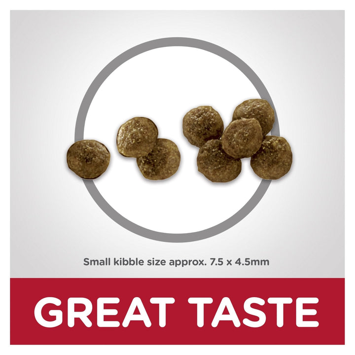 Hill's Science Diet Adult Small Paws Lamb Meal & Brown Rice Recipe Dry Dog Food 2.04kg - Just For Pets Australia