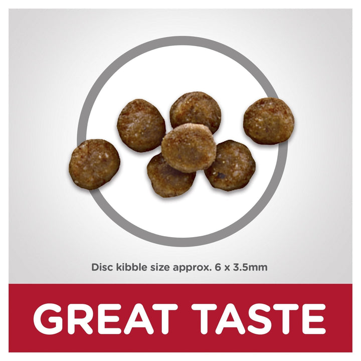 Hill's Science Diet Kitten Indoor Dry Cat Food - Just For Pets Australia