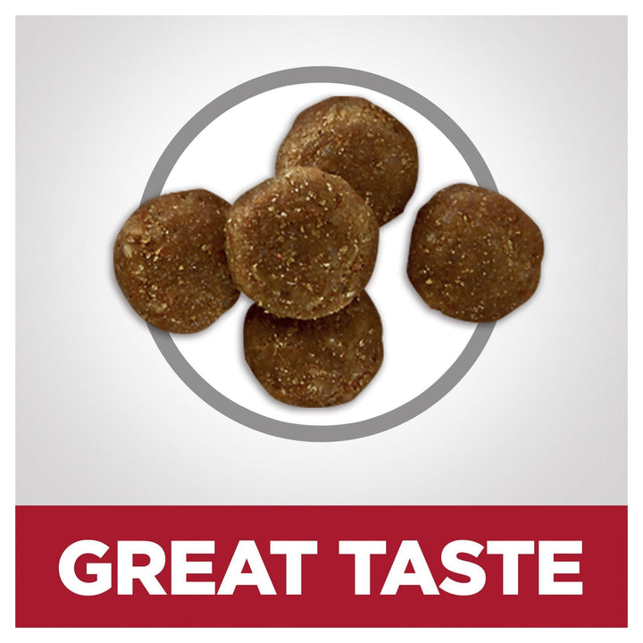 Hill's Science Diet Perfect Digestion Adult 7+ Dry Cat Food 2.72kg - Just For Pets Australia