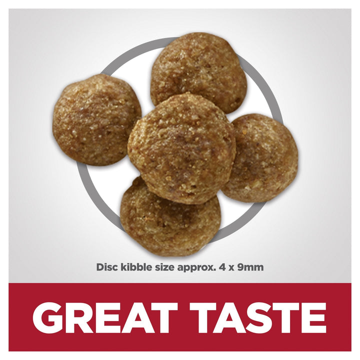 Hill's Science Diet Perfect Digestion Adult 7+ Small Bites Dry Dog Food 5.44kg - Just For Pets Australia