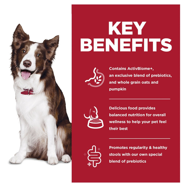 Hill's Science Diet Perfect Digestion Adult Dry Dog Food - Just For Pets Australia