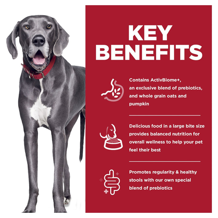 Hill's Science Diet Perfect Digestion Adult Large Breed Dry Dog Food - Just For Pets Australia