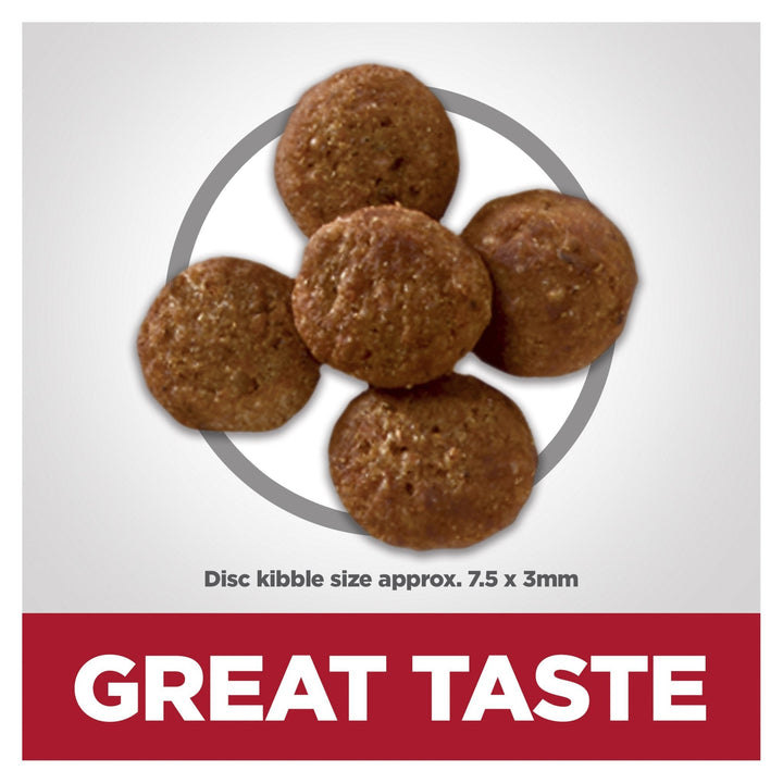 Hill's Science Diet Perfect Weight Adult Small Bites Dry Dog Food - Just For Pets Australia