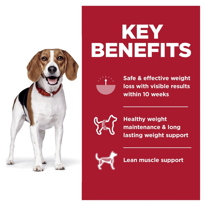 Hill's Science Diet Perfect Weight Adult Small Bites Dry Dog Food - Just For Pets Australia