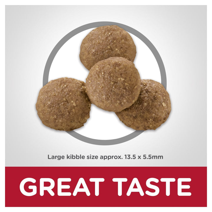 Hill's Science Diet Puppy Large Breed Dry Dog Food - Just For Pets Australia