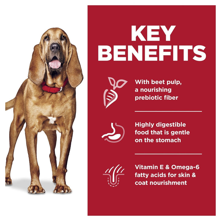 Hill's Science Diet Sensitive Stomach & Skin Adult Large Breed Dry Dog Food 13.6kg - Just For Pets Australia