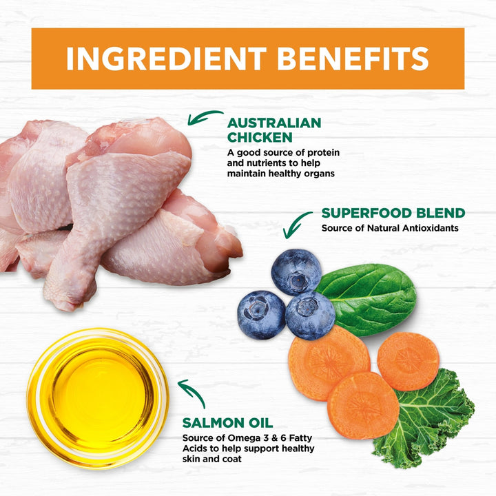 Ivory Coat Adult Chicken Dry Cat Food - Just For Pets Australia