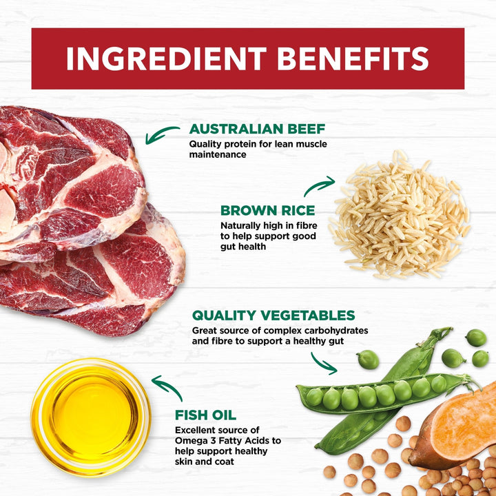 Ivory Coat Beef & Brown Rice Loaf Wet Dog Food 12x400g - Just For Pets Australia