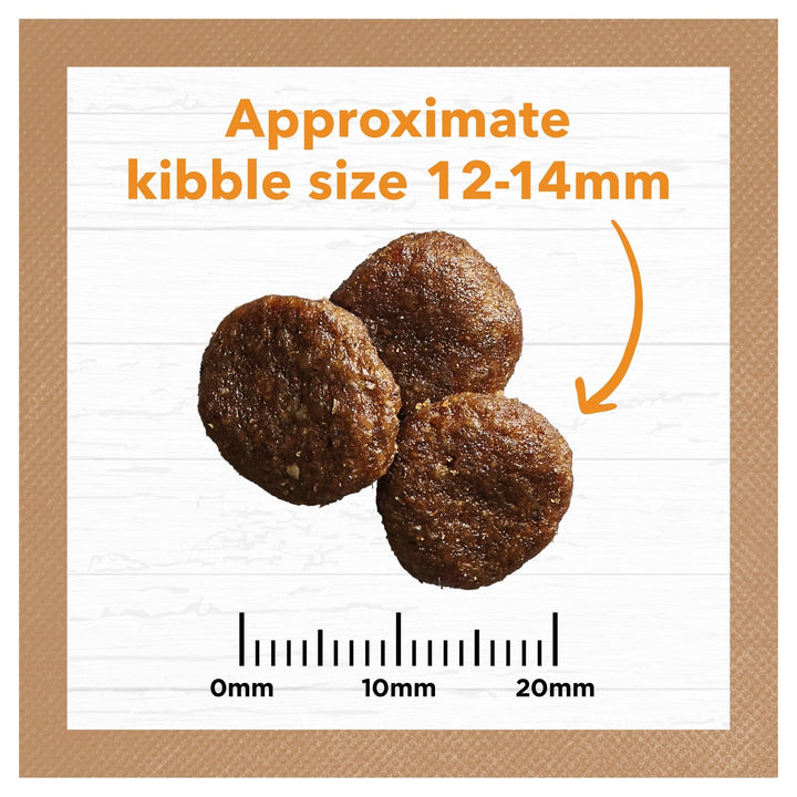 Ivory Coat Chicken Grain Free Dry Dog Food - Just For Pets Australia