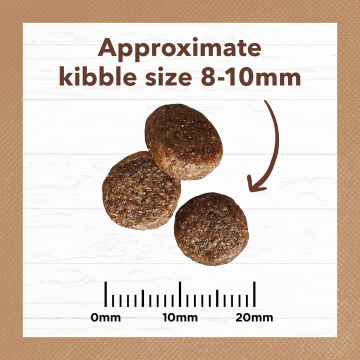 Ivory Coat Chicken & Kangaroo Grain Free Dry Cat Food - Just For Pets Australia