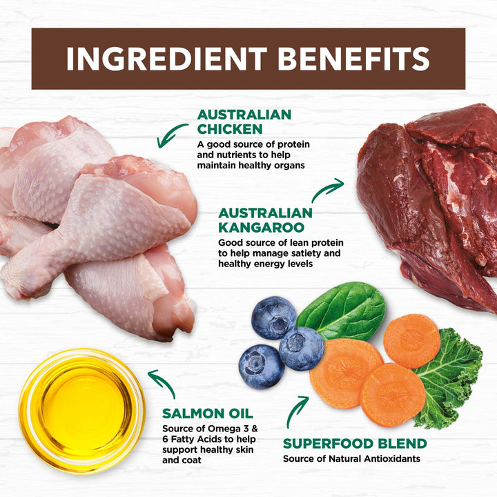 Ivory Coat Chicken & Kangaroo Grain Free Dry Cat Food - Just For Pets Australia