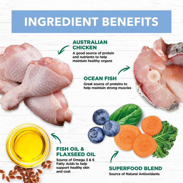 Ivory Coat Chicken & Ocean Fish in Jelly Wet Kitten Food, 12x85g - Just For Pets Australia