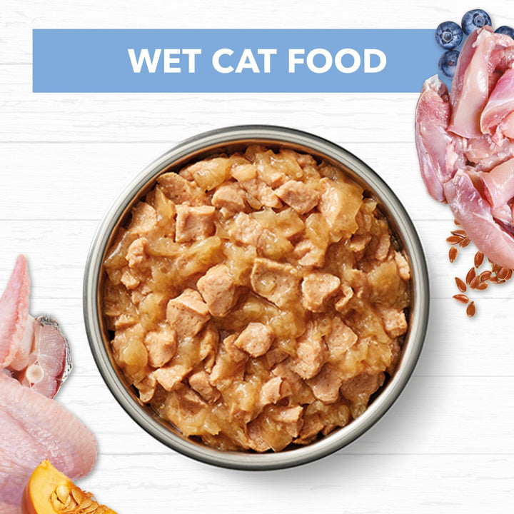 Ivory Coat Chicken & Ocean Fish in Jelly Wet Kitten Food, 12x85g - Just For Pets Australia