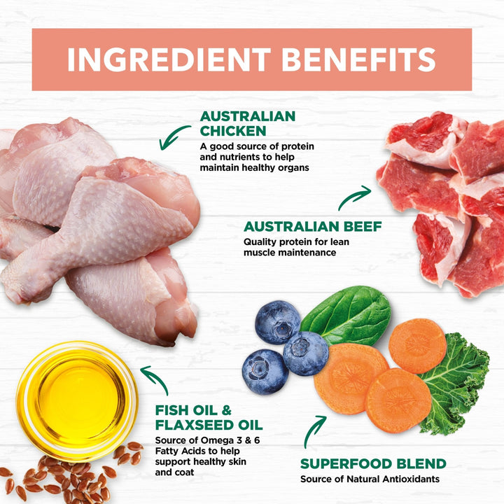 Ivory Coat Grain Free Kitten Chicken & Beef in Gravy Wet Cat Food, 12x85g - Just For Pets Australia