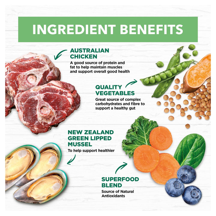 Ivory Coat Grain Free Large Breed Dry Puppy Food Lamb - Just For Pets Australia