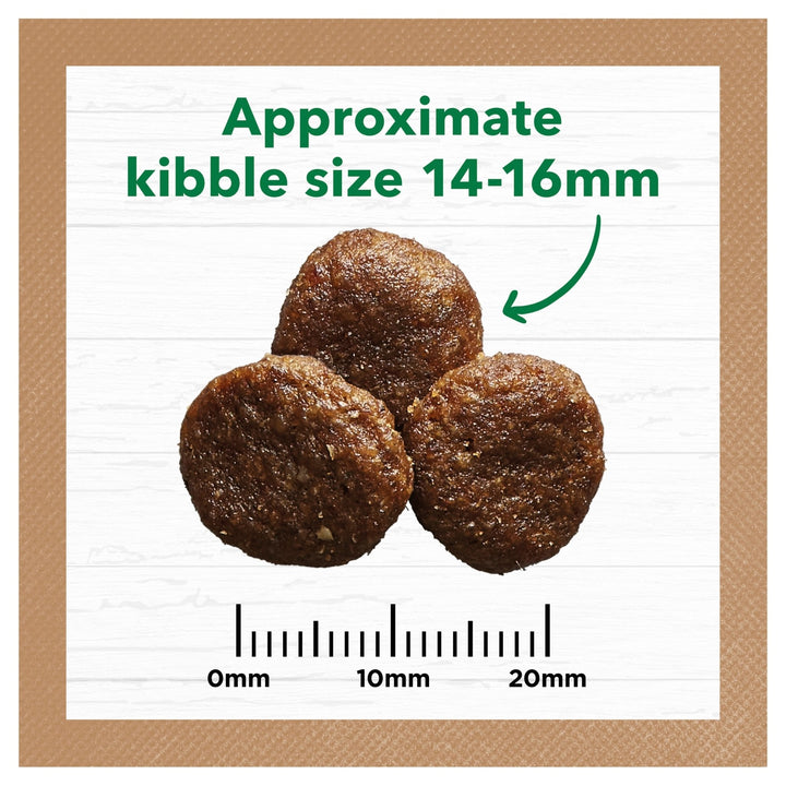 Ivory Coat Grain Free Large Breed Lamb & Coconut Oil 13kg - Just For Pets Australia