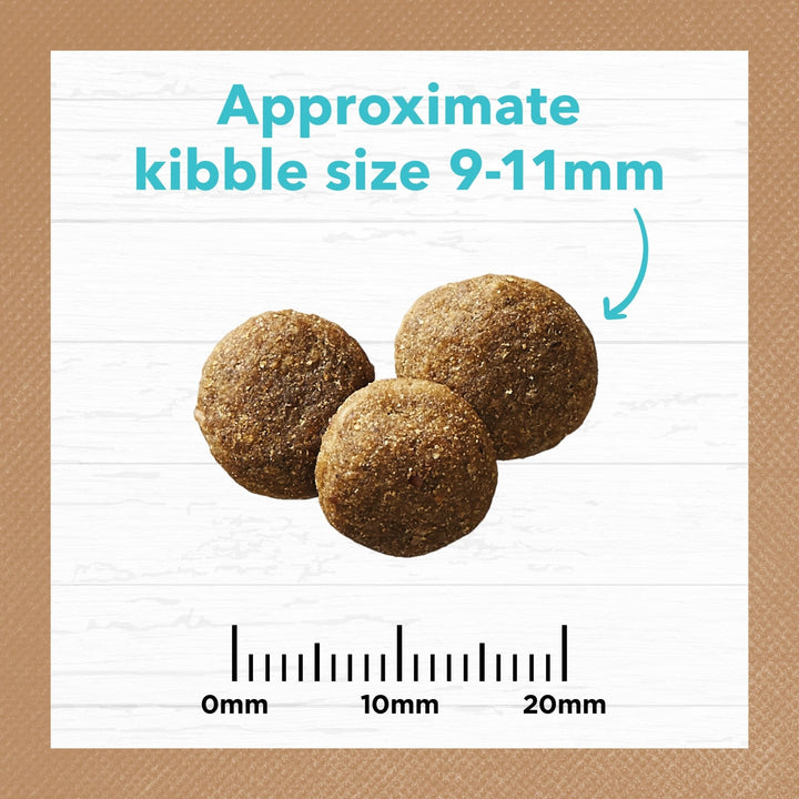 Ivory Coat Grain Free Puppy Salmon & Ocean Fish - Just For Pets Australia