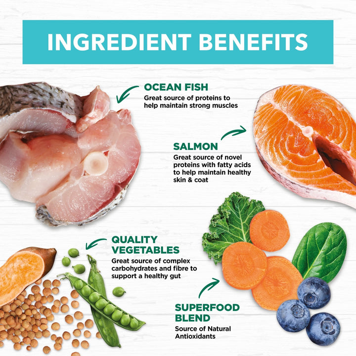 Ivory Coat Grain Free Puppy Salmon & Ocean Fish - Just For Pets Australia