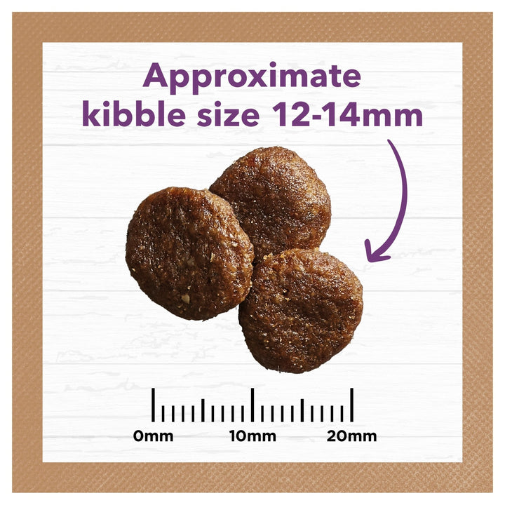 Ivory Coat Grain Free Senior Dry Dog Food Turkey - Just For Pets Australia