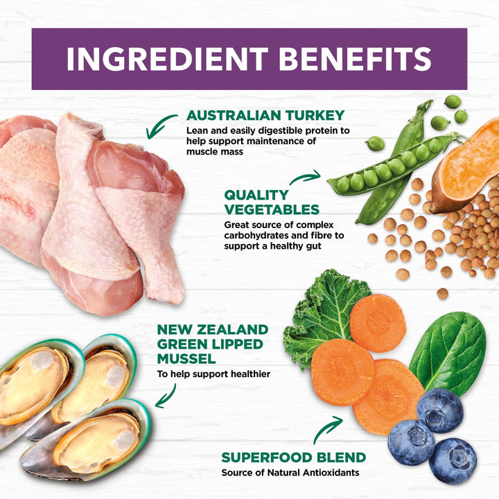 Ivory Coat Grain Free Senior Dry Dog Food Turkey - Just For Pets Australia