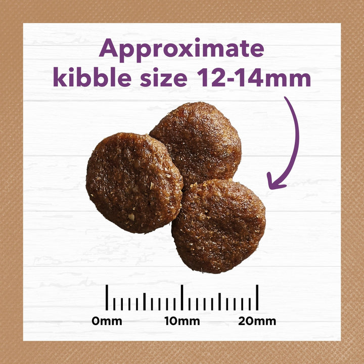 Ivory Coat Grain Free Senior Dry Dog Food Turkey - Just For Pets Australia