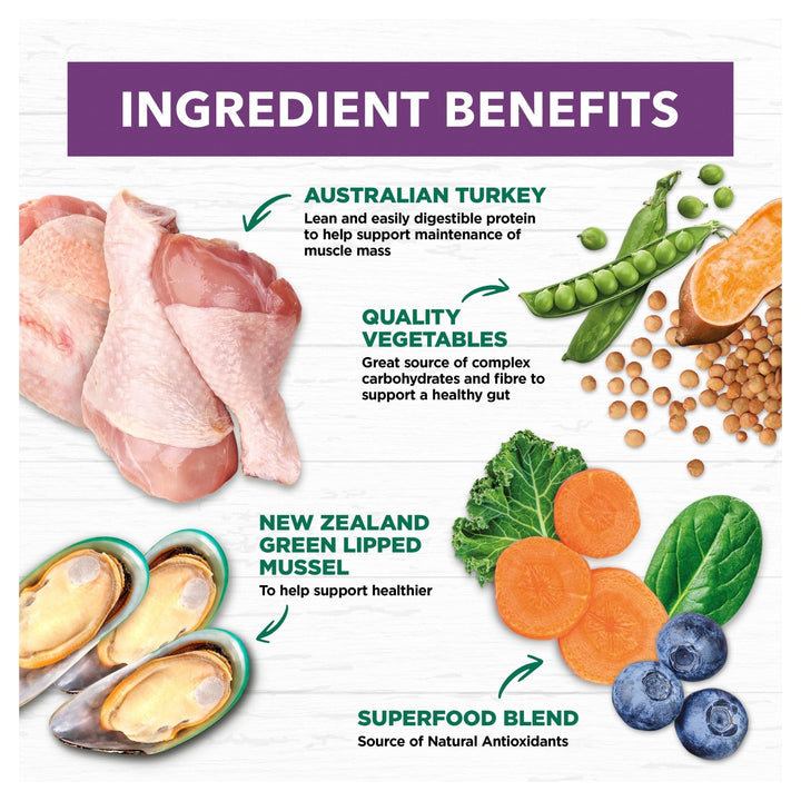 Ivory Coat Grain Free Senior Dry Dog Food Turkey - Just For Pets Australia