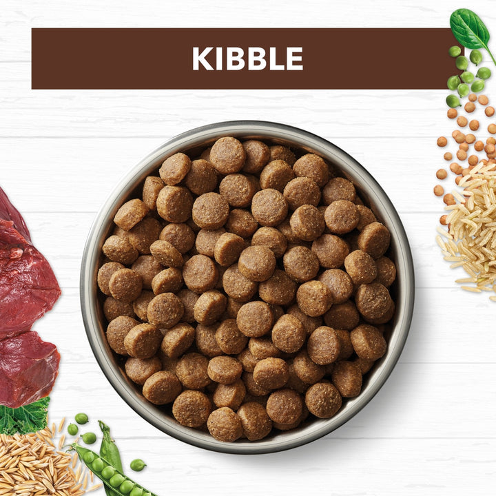 Ivory Coat Kangaroo & Brown Rice Dry Dog Food - Just For Pets Australia