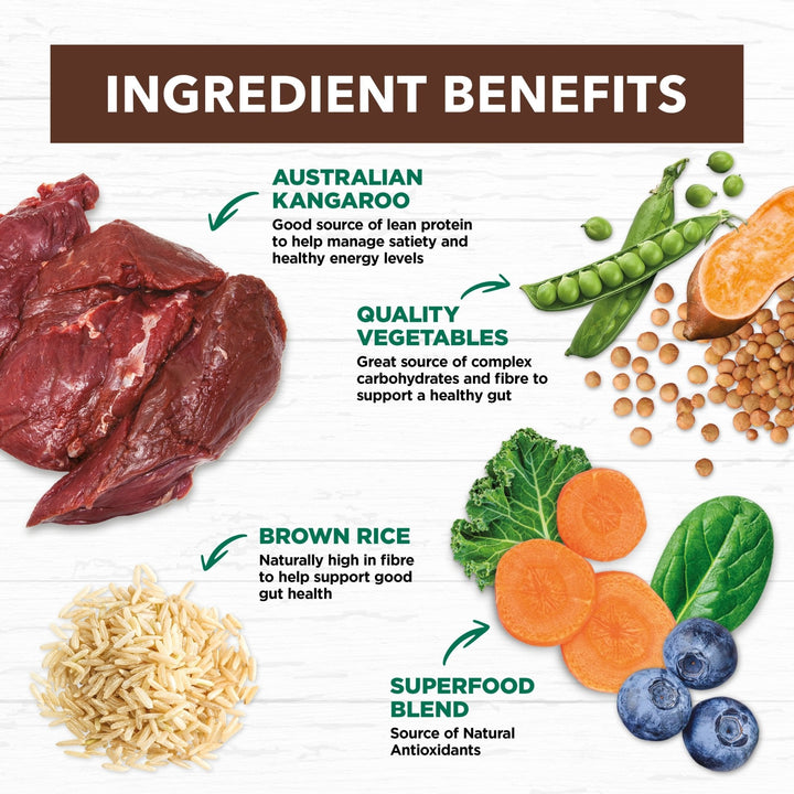 Ivory Coat Kangaroo & Brown Rice Dry Dog Food - Just For Pets Australia