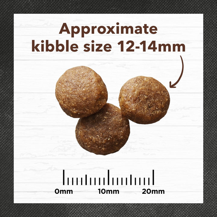 Ivory Coat Kangaroo & Brown Rice Dry Dog Food - Just For Pets Australia