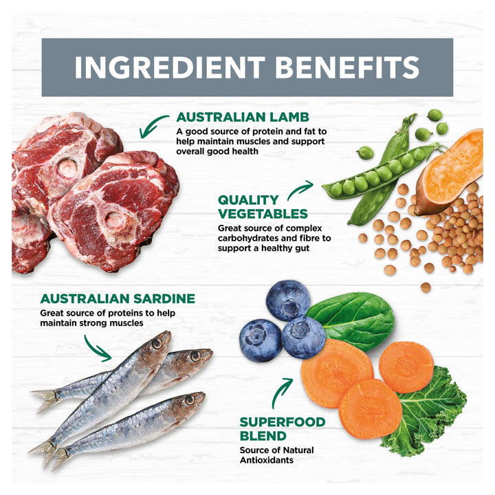 Ivory Coat Lamb and Sardine Stew Grain Free Wet Dog Food 12x400g - Just For Pets Australia