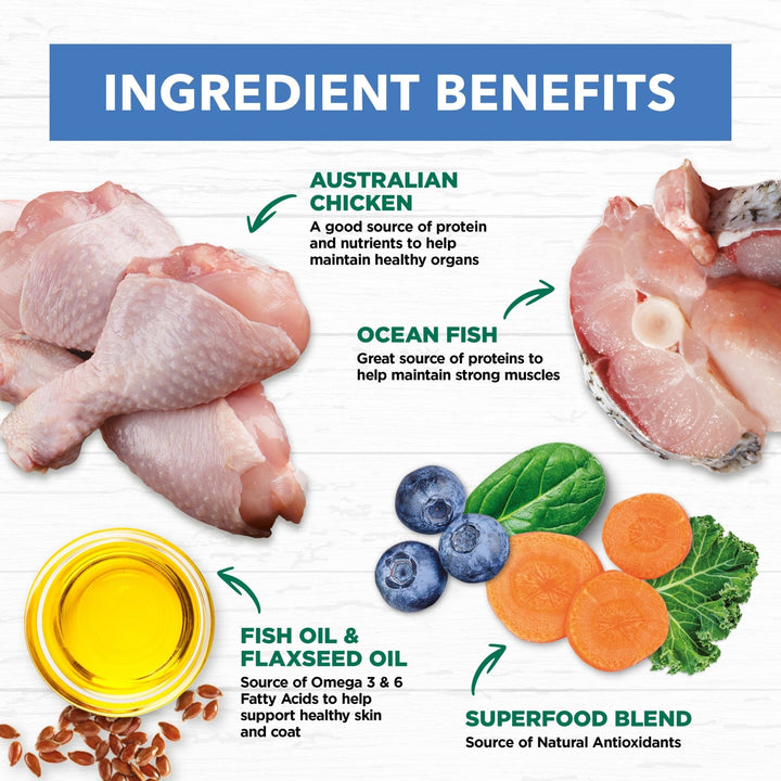 Ivory Coat Mature Chicken & Ocean Fish in Gravy Wet Cat Food, 12x85g - Just For Pets Australia