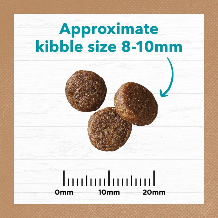 Ivory Coat Ocean Fish & Salmon Grain Free Dry Cat Food - Just For Pets Australia