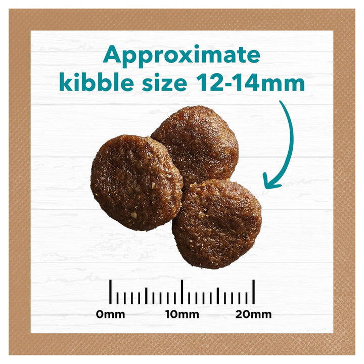 Ivory Coat Ocean Fish & Salmon Grain Free Dry Dog Food - Just For Pets Australia